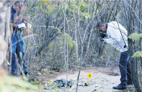  ?? FOTO: ÁNGEL ZAMUDIO ?? &gt; Personal de la Fiscalía analiza el sitio donde se localizó una osamenta.