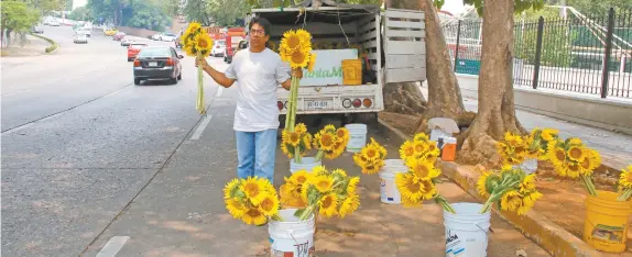  ??  ?? En su pequeño negocio de flores, don Gelo no pierde la esperanza de que tantos años de lucha por fin den fruto y pueda obtener un empleo en el gobierno federal.