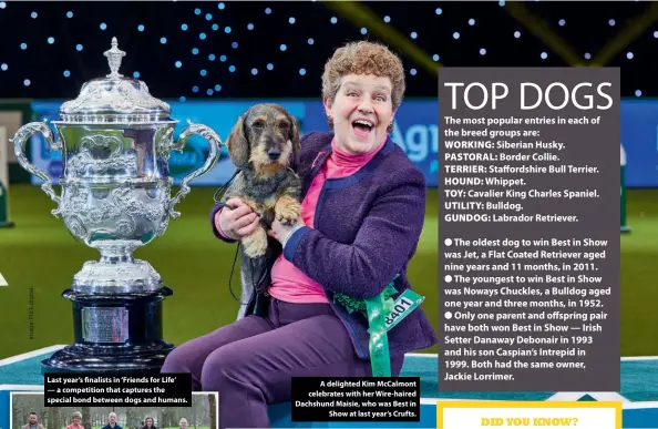  ??  ?? Last year’s finalists in ‘Friends for Life’ — a competitio­n that captures the special bond between dogs and humans.
A delighted Kim McCalmont celebrates with her Wire-haired Dachshund Maisie, who was Best in Show at last year’s Crufts.