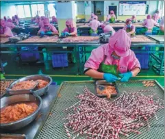  ?? XINHUA ?? Pet food is produced at a factory in Pingyang county of Wenzhou, Zhejiang province. The pet-related industry has boomed in the county due to industrial upgrading and transforma­tion.