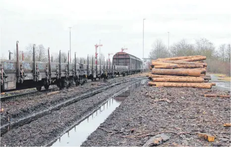  ?? FOTO: JENNIFER KUHLMANN ?? Weil die Verlegung der Holzverlad­estation für die Deutsche Bahn derzeit nicht realisierb­ar ist, soll das Gelände neben dem Mengener Bahnhof doch nicht verkauft werden.