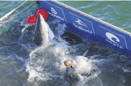  ?? FILE ?? Fishing master Brett Mcbride wrangles a shark in the waters off West Ironbound Island on Nova Scotia's south shore in 2019.