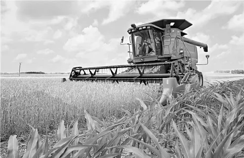  ??  ?? A John Deere combine harvests wheat in Kirkland, Illinois, on July 11, 2016. — WP-Bloomberg photos