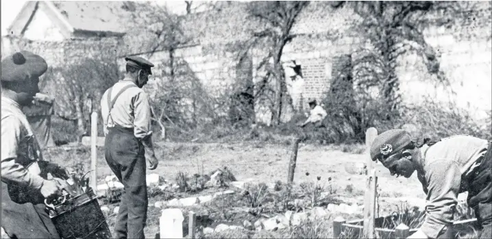  ??  ?? Photograph taken on the Western Front in France during the First World War showing soldiers collecting plants and flowers in their spare time to decorate the braves of their fallen comrades. Circa 1918. Photo Daily Mirror