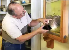  ?? ?? Left: Derick Forester, owner, points out parts of the observatio­nal hive at Forester Farms and Apiary on Thursday.