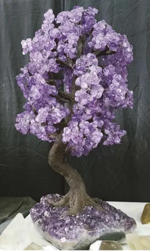  ?? PHOTO BY HELEN SERRAS-HERMAN ?? Amazing, gigantic amethyst gem trees were among the rarities offered for sale at the 2019 Quartzsite show by GMI.