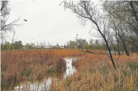  ?? RJ Sangosti, The Denver Post ?? Denver planners are designing the city’s first new green space in more than 10 years at land around Heron Park near the South Platte River. But the area is industrial wasteland, and the pond is laced with toxic sludge.