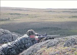  ?? PAUL SMITH PHOTOS ?? Caribou hunting on the Cape Shore — wide-open country for a flat-shooting rifle.