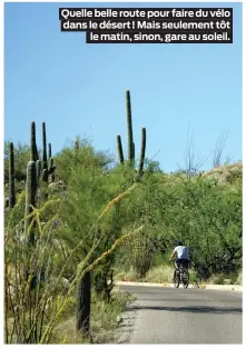  ??  ?? Quelle belle route pour faire du vélo dans le désert! Mais seulement tôt le matin, sinon, gare au soleil.