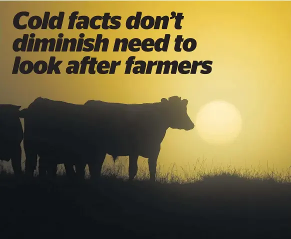  ??  ?? M. bovis might impact total dairy production but supply constraint­s in New Zealand typically push global prices up — offsetting the loss.