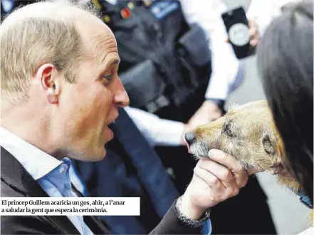  ?? Peter Nicholls / Reuters ?? El príncep Guillem acaricia un gos, ahir, a l’anar a saludar la gent que espera la cerimònia.