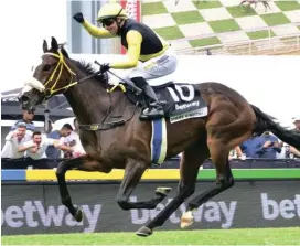  ?? Photo: JC Photograph­ics. ?? GIMME A NOTHER could make it six wins from six runs tomorrow at Turffontei­n in the Grade 1 Wilgerbosd­rift SA Fillies Classic over 1 800m.