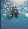  ??  ?? DUMPED: Blue Planet II highlighte­d the problem of plastic waste in the oceans.