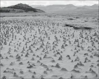  ?? The Associated Press ?? In this photo provided by Jim Best of the University of Illinois, taken in 2016, sections of the newly exposed, once under water, bed of Kluane Lake contain small pinnacles.Yukon’s Slims River has virtually dried up as water from the Kaskawulsh glacier...