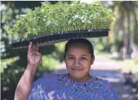  ?? CORTESÍA DE LA FAO ?? Se estima en la región hay 26.5 millones de mujeres indígenas.