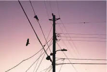  ?? Jessica Christian / The Chronicle ?? A bird flies past a tangle of power lines in Napa during PG&E’s planned power shutoffs early Thursday morning.