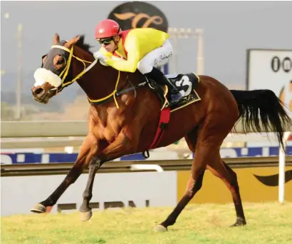  ??  ?? BEST BET. Punters could get a winning send-off from Lyle Hewitson on Jamra in Race 4 at the Turffontei­n Inside track tomorrow before he leaves to ride in the Internatio­nal Jockeys Challenge in Singapore.