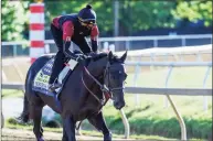  ?? Skip Dickstein / Special to the Times Union ?? Kentucky Derby winner Medina Spirit on the track for morning exercise Thursday at Pimlico in Baltimore ahead of Saturday’s Preakness Stakes.