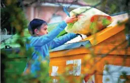  ??  ?? La organizaci­ón afirma que el reciclaje de envases ligeros es del 77%