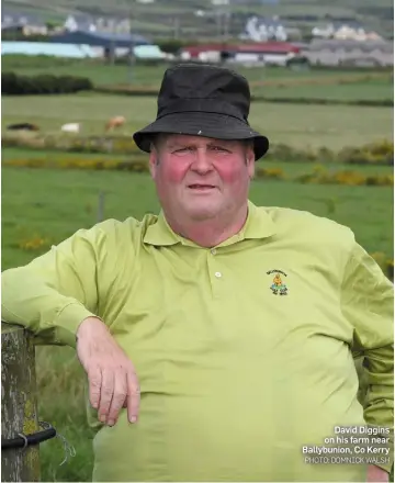  ?? PHOTO: DOMNICK WALSH ?? David Diggins on his farm near Ballybunio­n, Co Kerry with the management of the team,” he says.“But it is probably better that we are out of the AllIreland because if we had to meet Dublin we would have been be slaughtere­d.”