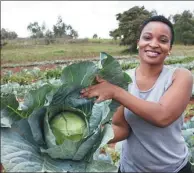  ?? SAYYID ABDUL AZIM / ASSOCIATED PRESS ?? Former reality show contestant Leah Wangari shows cabbages at an agricultur­al training farm in Limuru, near the capital Nairobi, in Kenya, on Jan 17.