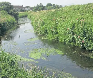  ??  ?? COMMUNITY ANGER: Eden Angling Associatio­n said the spill “wiped out” years of work.
