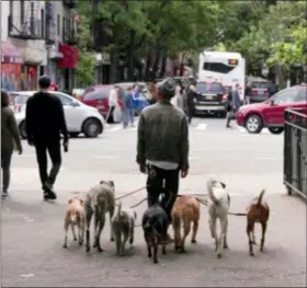  ?? NETFLIX VIA AP ?? This image released by Netflix shows a scene from the documentar­y “Dogs,” streaming Friday, on Netflix.