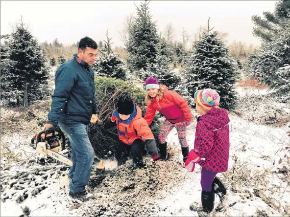  ?? SUBMITTED ?? Karena VanKippers­luis’s husband Sam Bunguy with their children Isaac, Annika and Marika as she photograph­s them picking out their tree.