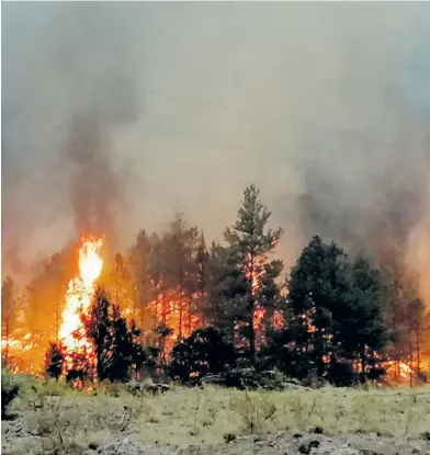  ?? CORTESÍA: CONAFOR ?? Se combaten 11 incendios forestales activos.