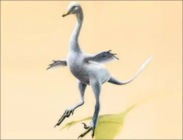  ?? Lukas Panzarin ?? SCIENTISTS say H. escuilliei shared traits with theropod dinosaurs and today’s aquatic birds and reptiles.