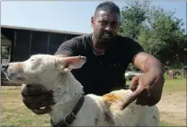  ?? PICTURE GCINA NDWALANE. ?? Aslam Subrathy with his bull terrier, Brock, which was stabbed four times by intruders in Kenville, north of Durban.