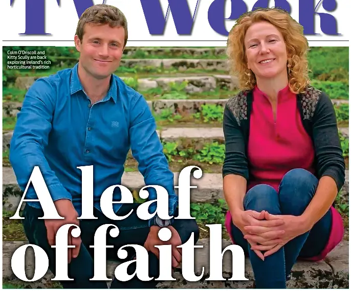 A leaf of faith - PressReader