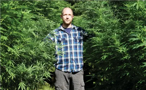  ?? JULIE OLIVER ?? Mark Spear, a 34-year-old Ottawa native who has worked in the cannabis industry since 2014, wants to convert a 225-acre farm near Burnstown into a “canna-tourism” complex that will grow more than 100,000 cannabis plants outdoors by 2020.