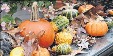  ?? DEAN FOSDICK VIA AP ?? This November 2008 photo shows squash and pumpkins in an assortment near New Market, Va. Squash vary in the amount of time they need to mature and in how long they can be stored. Some, like acorn squash, should be eaten right away. Others can be stored...