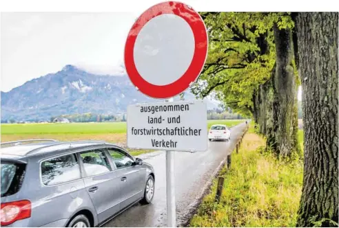  ?? BILD: SN/ROBERT RATZER ?? Die Keltenalle­e zwischen Anif und der Stadt Salzburg ist in schlechtem Zustand.
