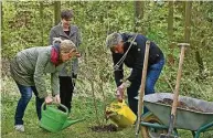  ?? Foto: Mario Hösel ?? Die Naturschut­zstation Weiditz wird Partner des Projektes „Natur zum Anfassen“von Envia M und Mitgas. Zum Start wird eine Schneeball gepflanzt.