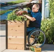  ?? ?? A man gardens in a wheelchair-accessible raised bed.