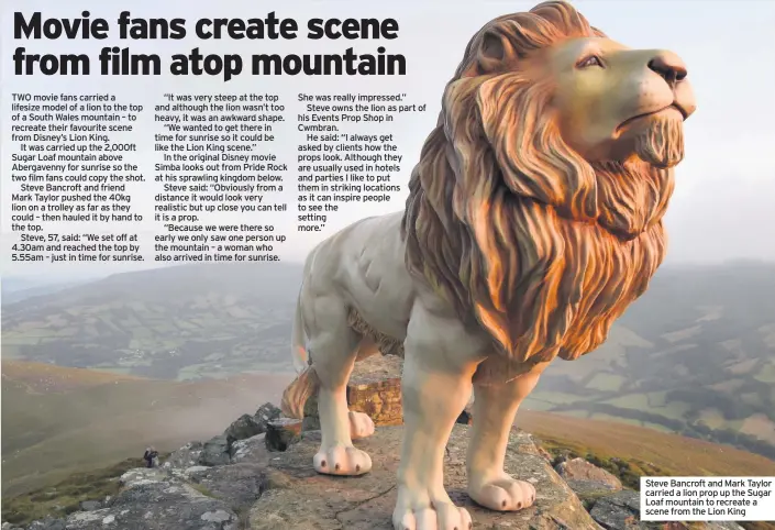  ??  ?? TWO movie fans carried a lifesize model of a lion to the top of a South Wales mountain – to recreate their favourite scene from Disney’s Lion King.
It was carried up the 2,000ft Sugar Loaf mountain above Abergavenn­y for sunrise so the two film fans could copy the shot.
Steve Bancroft and friend Mark Taylor pushed the 40kg lion on a trolley as far as they could – then hauled it by hand to the top.
Steve, 57, said: “We set off at 4.30am and reached the top by 5.55am – just in time for sunrise.
“It was very steep at the top and although the lion wasn’t too heavy, it was an awkward shape.
“We wanted to get there in time for sunrise so it could be like the Lion King scene.”
In the original Disney movie Simba looks out from Pride Rock at his sprawling kingdom below.
Steve said: “Obviously from a distance it would look very realistic but up close you can tell it is a prop.
“Because we were there so early we only saw one person up the mountain – a woman who also arrived in time for sunrise. She was really impressed.”
Steve owns the lion as part of his Events Prop Shop in Cwmbran.
He said: “I always get asked by clients how the props look. Although they are usually used in hotels and parties I like to put them in striking locations as it can inspire people to see the setting more.” Steve Bancroft and Mark Taylor carried a lion prop up the Sugar Loaf mountain to recreate a scene from the Lion King