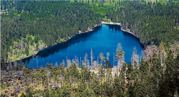  ?? Foto: Dan Materna, MAFRA ?? Černé jezero. Jde o největší vodní plochu Šumavy. Turisté tu najdou neporušeno­u přírodu i odpočinek.