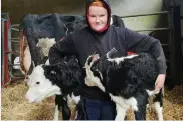  ??  ?? Becky Hynes with the twin calves she delivered in the early hours of Sunday morning.