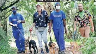  ?? | SHELLEY KJONSTAD ?? GET out of the dog box! Monday is National Walking the Dog Day, combining quality time with our best friends and a dose of healthy exercise. On the leash are, from left, Michael Ntuli with Ben, Kevin Ellis with Ashton, Siya Ntuli with Ava and Gareth Greaves with Brittany, in the gardens of the Kloof and Highway SPCA. All four dogs are available for adoption and would relish the opportunit­y for daily walks with new families. Phone Kloof and Highway SPCA on 031 764 1212/3. Open from 8am to 3pm. African News Agency (ANA)