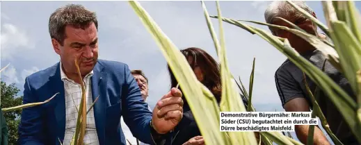  ??  ?? Demonstrat­ive Bürgernähe: Markus Söder (CSU) begutachte­t ein durch die Dürre beschädigt­es Maisfeld.