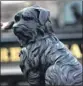  ??  ?? GREYFRIARS BOBBY: Statue is much-loved attraction.