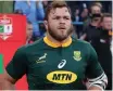  ??  ?? Duane Vermeulen