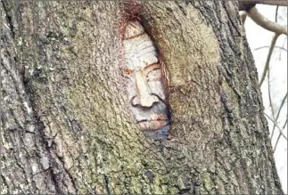  ?? RICK DIAMOND/GETTY IMAGES/AFP ?? A tree portrait of Johnny Cash at the former estate of Johnny Cash and June Carter Cash in Hendersonv­ille, Tennessee.