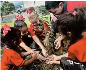  ?? PARA LA NATURALEZA ?? Volunteers with Para la Naturaleza in Puerto Rico can help plant trees or monitor sea turtle nests.