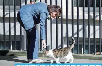  ??  ?? LONDON: Britain’s Minister of State at the Department for Business, Energy and Industrial Strategy, Claire Perry, strokes Larry the 10 Downing Street cat in Downing Street in central London. —AFP