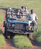  ??  ?? Guides take visitors around the Phinda reserve on Toyota Land Cruisers.