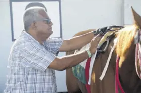  ?? (Photo: Observer file) ?? Owner of the 2009 Derby winner He’s Really Ok, saddling one of his horses.