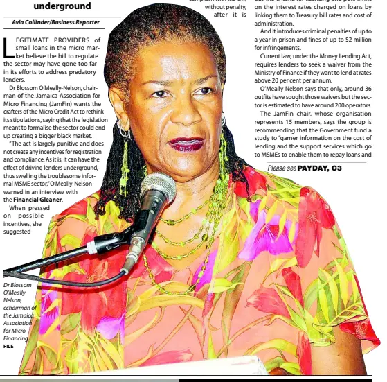  ?? FILE ?? Dr Blossom O’MeallyNels­on, cchairman of the Jamaica Associatio­n for Micro Financing.